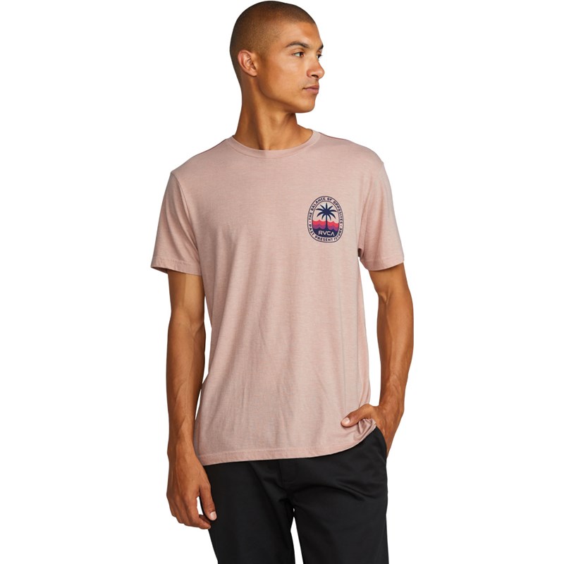 CAMISETA MASCULINO RVCA PALM PATROL – foto 4